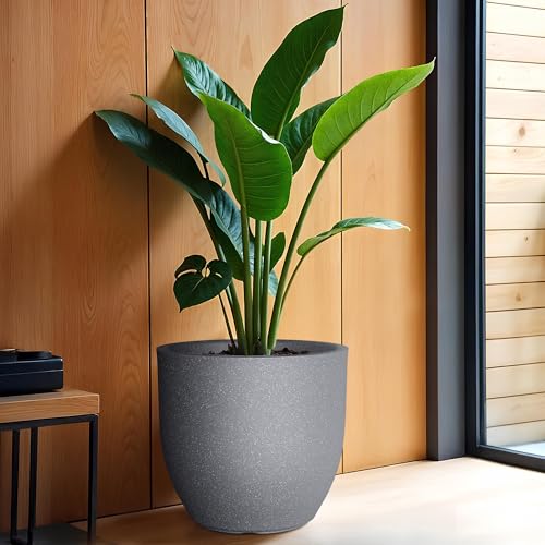 YUCCABE ITALIA FOXB PCUP 15 Inch Pots for Plants Highly Durable P...