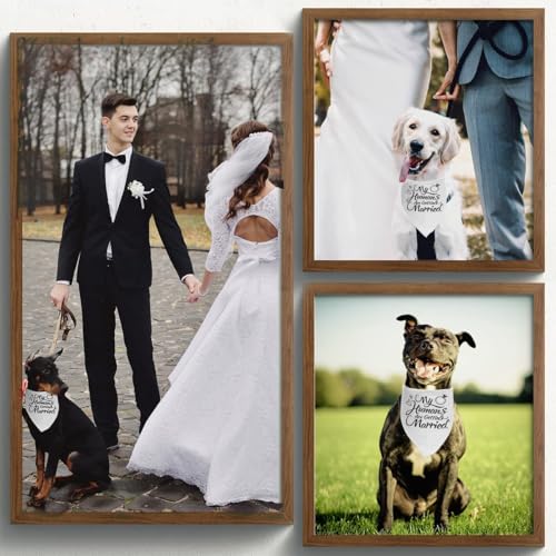 ThaiRoot Hund Hochzeiten Halstuch Weiß My Humans Are Getting Married Hochzeiten Bandana Atmungsaktiver Haustier Schal Triangel-Hundebandana-Schal Hundehalstuch für kleine, mittlere, große Hunde