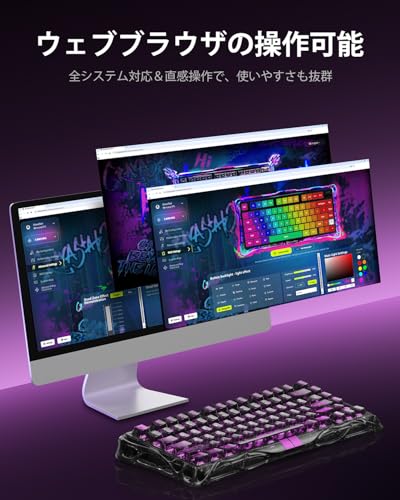undefined 0.01mmラピッドトリガー 搭載 GravaStar Mercury V75 lite ゲーミングキーボード 有線 着脱式ケーブル ポーリングレート4000Hz対応 有線 75%レイアウト US配列 アクチュエーションポイント バックライトRGB 磁気式スイッチ 透明ブラック の商品画像 6