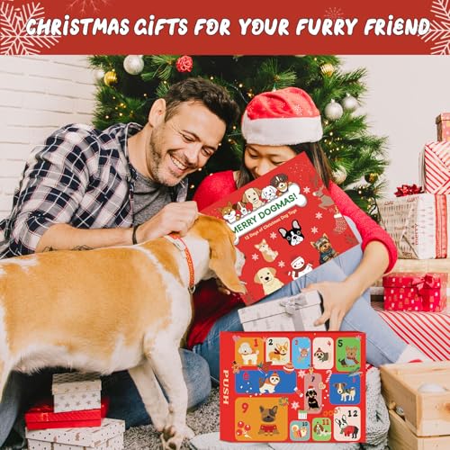 ANOTION 12 Tage Weihnachtshundspielzeug Adventskalender 2025 – Interaktives Quietschendes Hundespielzeug Set, Aggressive Kauer, Beinhaltet Kauspielzeug, Seile, Bälle und mehr