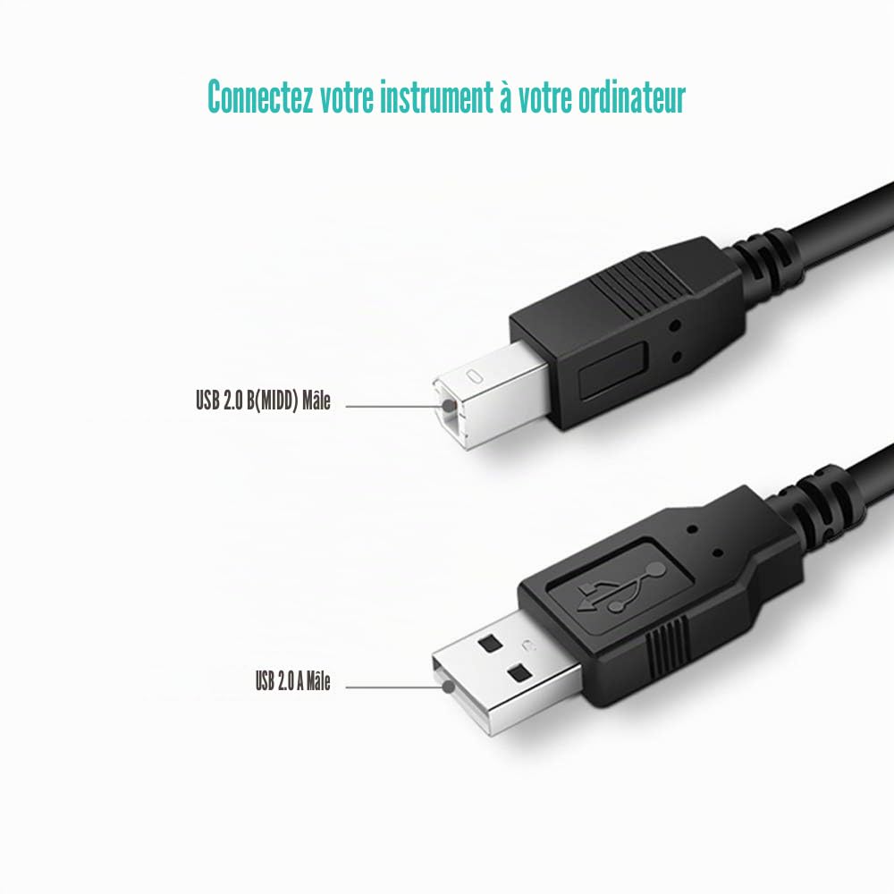 Ancable Câble USB A vers USB B 6FT