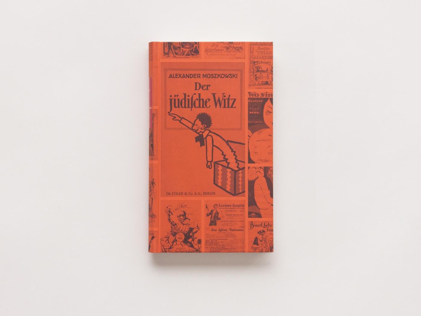 Vom jüdischen Witz zum Judenwitz: Eine Kunst wird entwendet (Die Andere Bibliothek, Band 439)