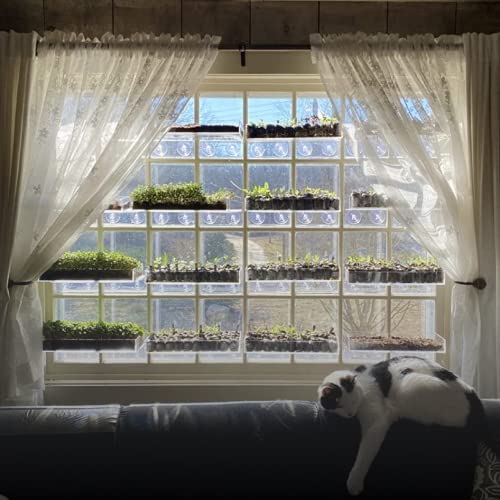 Image of Window Garden Double Veg Ledge - Window Shelf for Plants, Clear Acrylic Shelves - Suction Cup Indoor Plant Holder - Glass Window Sill Extender for Microgreens Kit, Planters (1 Pack)
