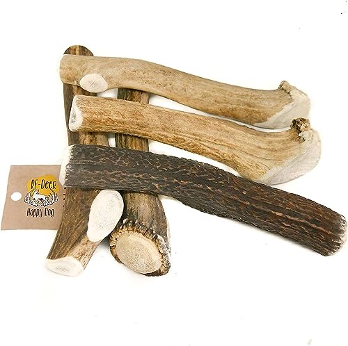 RF-Deer Antlers for dogs HARD Size XXL, 5 PIECES, Naturally Shed Red Deer Antler, Long Lasting Chew Treat