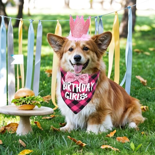 Wanmu Hunde Geburtstag Hut Bandana Set, Hund Geburtstag Hund Halstuch Hundegeburtstagskrawatte mit 9 Bling Nummern Hundegeburtstagsgeschenk für kleine mittlere große Hunde