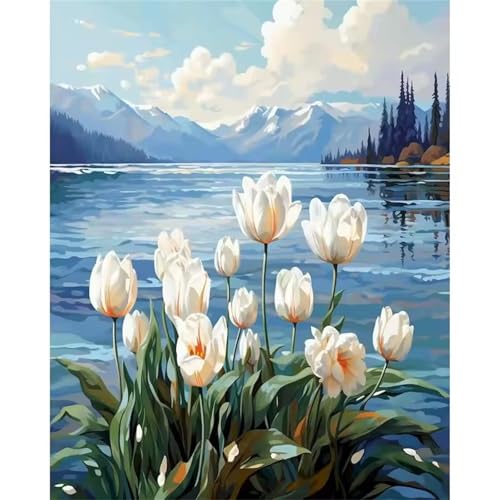 Aimaor Tulipani Dipingere con i Numeri Adulti,Dipingi con i Numeri Adulti,Paesaggio Paint by Numbers Kit di Pittura a Olio su Tela con pigmento Acrilico Disegno 20x30cm Senza Cornice