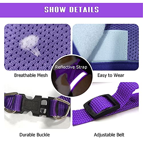 Feimax No Pull Small Cat Harness And Leash Set, Soft Mesh Puppy Reflective Adjustable Harnesses For Walking Escape Proof Cat Kitten Step-In Breathable Vest Harness #TOP3