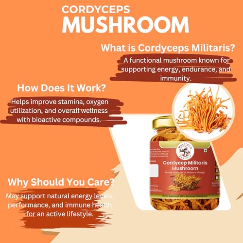 Image of Cordyceps Militaris Dried Cordyceps Mushroom (30gm) | Premium Cordyceps Fungus for Energy, Endurance & Immunity | Herbal Supplement | Pack of 1