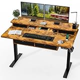 Kingant 55 x 30 Inch Electric Standing Desk with 4 Drawers, Adjustable Height Computer Desk for Home...