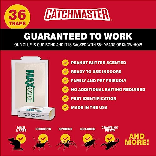 Pest-Glue-Trap-by-Catchmaster-36-Boards-Pre-Baited-Ready-to-Use-Indoors-Rodent-Mouse-Rat-Insect-Sticky-Adhesive-Simple-Easy-Simple-Non-Toxic-Made-in-the-USA