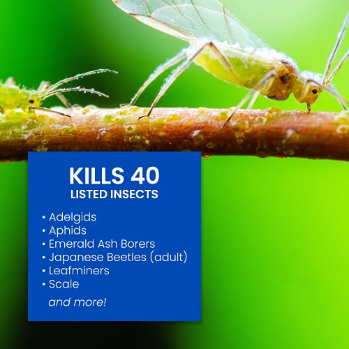 Bioadvanced 12 Month Tree And Shrub Protect And Feed, Granules, 10 Lb #TOP1