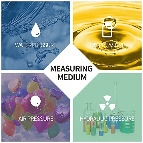 Elecall 300Psi Silicone Oil Filled Pressure Gauge For Water Oil Air Pressure Test In Pool Pump Sand Filter Air Compressor Water System, 2-1/2" Stainless Steel Case, Lower Mount 1/4"Npt #TOP6