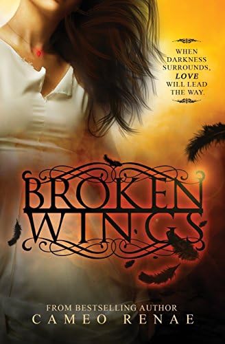 Broken Wings Paperback – June 11, 2013