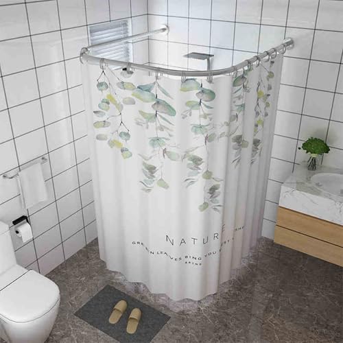 Mampara Ducha Fija 80 Marca Machtiging