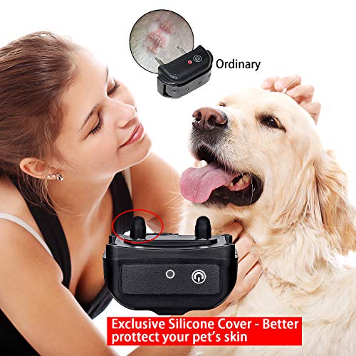 canavis dog shock collar