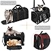 Soft-Sided Cat/Dog/Pet Carrier, Collapsible Pets Travel Carriers for Big Cats/Small Dogs with Shoulder Strap & Removable Mat, Mesh Puppy Carry Bag, Up to 16 Lbs, TSA Airline Approved(Black)