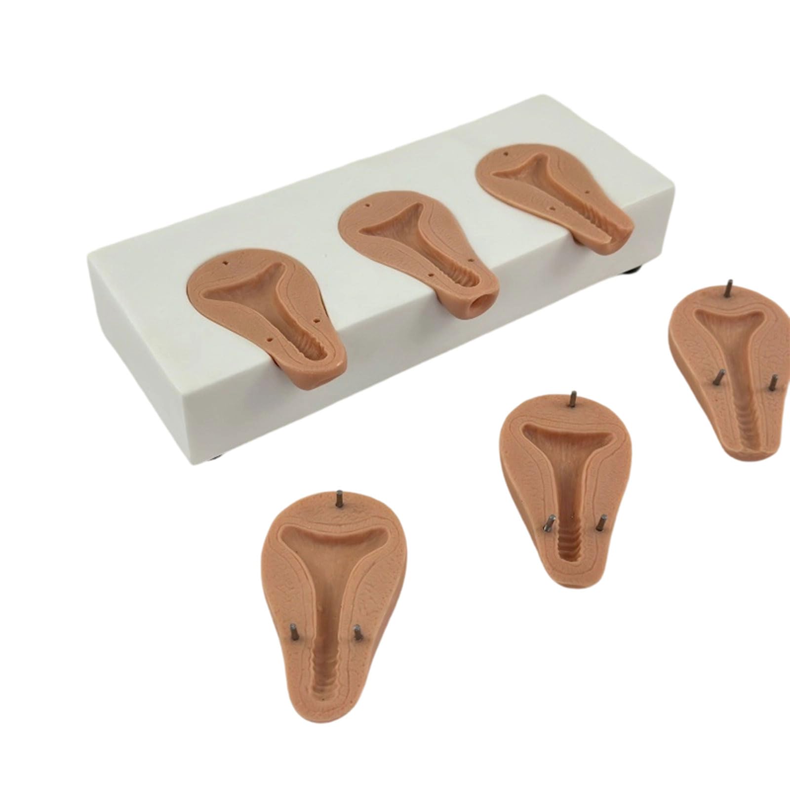 Kit professionale per anatomia uterina, strumento di texture in PVC per lo sviluppo delle abilità chirurgiche, strumenti di allenamento ginecologici