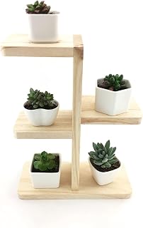 Tiered Flower Plant Rack Multi Layer Plant Shelf Flower Pot Stand Indoor Plant Holder Stand Indoor Outdoor Potted Plant Display Stands,White
