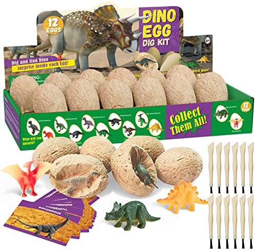 Preescolar, Toy Salandens Huevos De Dinosaurio Excavación Kits 12 Pzs, Dinosaurios Juguetes para Niños,Juguetes Arqueológicos.…