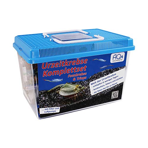 Triops King Urzeitkrebse Starter Set | Mit 50 Eiern & Aufzuchtbecken | Art Longicaudatus