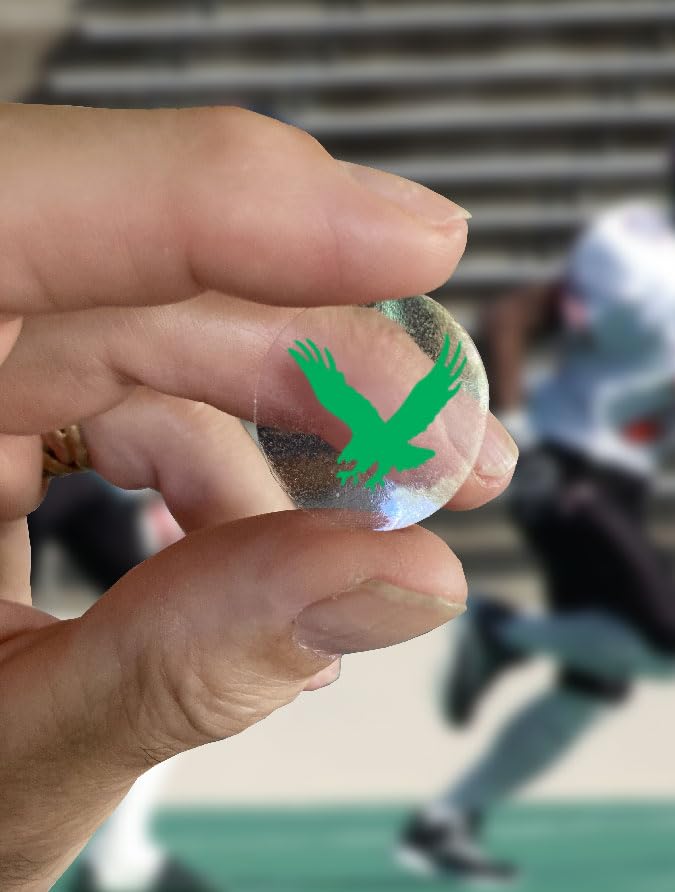 Flying Eagle Award Decals for Football Helmets, Baseball, Softball, Hockey Lacrosse 20-mil Thick mil Vinyl 1-1/8