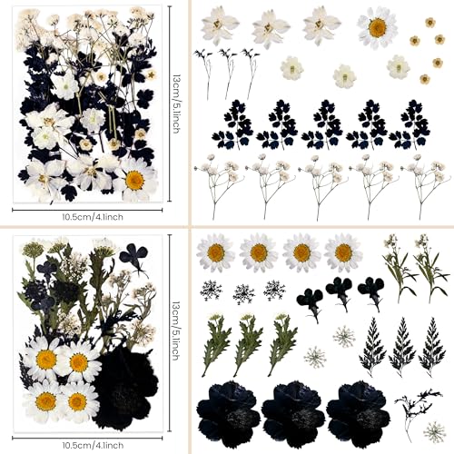 100 flores secas prensadas para manualidades miniatura 3