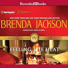 Couverture de Feeling the Heat