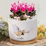 Yelolyio Ceuta Scenery - Macetas de mapa de Ceuta, maceta para suculentas personalizada, maceta pequeña personalizada para abuela, mamá, abuela