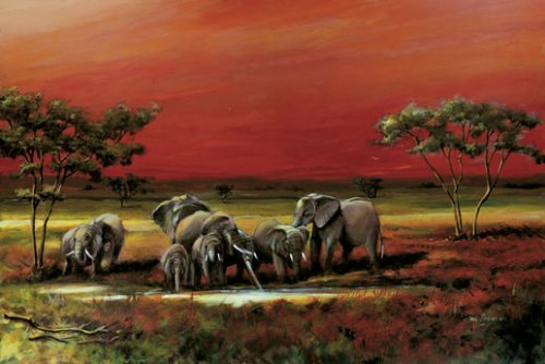 Poster africain éléphants tableau mural animaux savane laminé