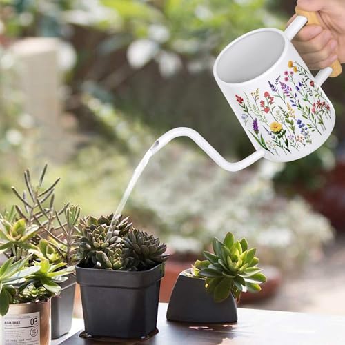 Image of Watering Can Indoor Plants, 35 oz /1000 ml Metal Stainless Steel Watering Can Pot with Long Spout for Indoor House Plants Bonsai Outdoor Garden Flower Decorative White Flowers