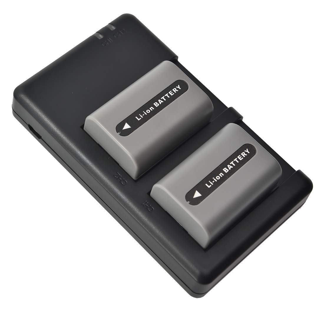 DSTE Lot de 2 Batteries de Rechange NP-FP50 + Double Chargeur USB Compatible avec Sony DCR-SR50 DCR-SR60 DCR-SR70 DCR-SR80 DCR-SR90 DCR-SR100 HDR-HC3