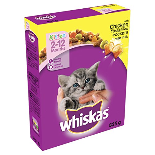Whiskas Junior Die 16 besten Produkte im Vergleich Haustierratgeber