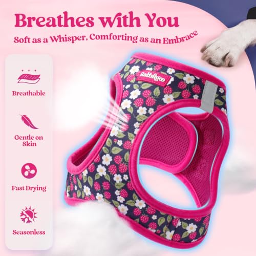 Image of rabbitgoo Dog Harness Medium Sized and Leash Set, Step-in Puppy Pet Vest
