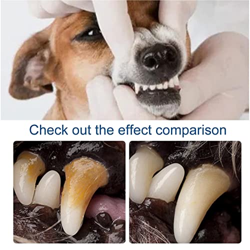 Cuidados dentários de gatos – Removedor de tártaro para dentes – Purificador de hálito de cães prote