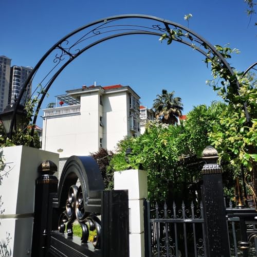 Arche de jardin en métal noir de 150 cm au design épuré pour fleurs de valeur
