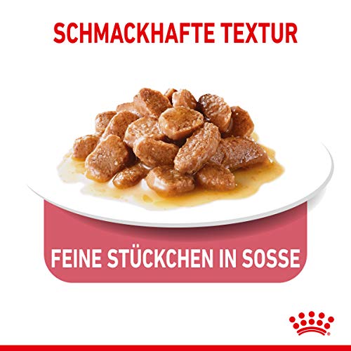 Royal Canin Frischebeutel Light Weight in Sosse Multipack 12x85g