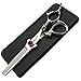 Produktbild 6 Zoll Silber importiert 440C exquisite Design gut gestaltete Friseur professionelle Schere gesetzt Frisur Schere Friseur Shop Haare Beschneidung spezielle Werkzeuge (Thining Scissors)