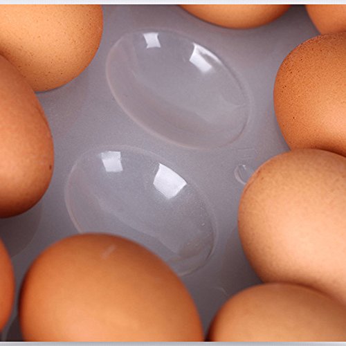 Gardenhelper 2Pcs 24 Plastic Eggs Dispenser Holder Container Refrigerator Organizer Large Capacity Eggs Tray Holder With Lid #TOP4