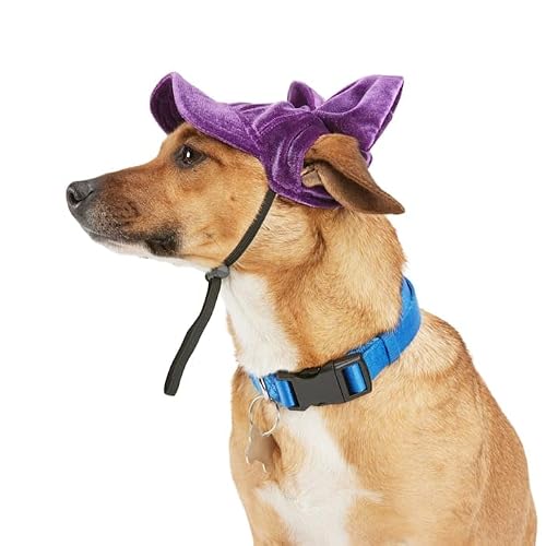 Youly Bow Baseball Dog Hat, Small/Medium, Purple - Thumbnail 6