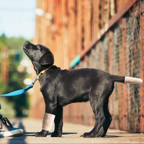 KeaJuidy Hundeschwanzschutz Hundeenden Set Dog Tail Protector Haustier Selbsthaftende Bandage Schweifverband Vet Wrap für Hunde Katzen Haustiere
