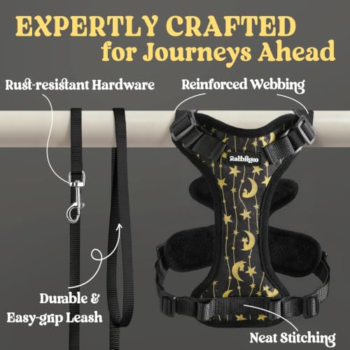 Image of rabbitgoo Cat Harness and Leash Set, Escape Proof Vest, Lunar Prowl | Soft Breathable Mesh, Easy Adjustable Fit, Snap Buckles, Sturdy Clip, Reflective Strips, for Medium to Large Cats Walks, M