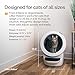 Litter-Robot 4 Supply Bundle by Whisker, White - Automatic, Self-Cleaning Cat Litter Box, WiFi Enabled, Includes Litter-Robot 4, 3 OdorTrap Refills, 10 Liners, 30 Cleaner Wipes, & 2 Carbon Filters
