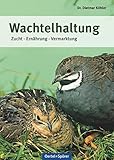 vogelzuchtverein  Wachtelhaltung: Zucht - Ernährung - Vermarktung