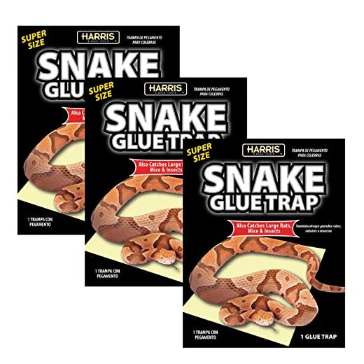 HARRIS Supersized Snake Glue Trap - Extra Strength, Non-Toxic and Multipurpose (3-Pack)