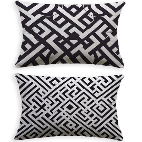 Coussin abstrait noir et blanc 50x70cm lot de 2 velours salon