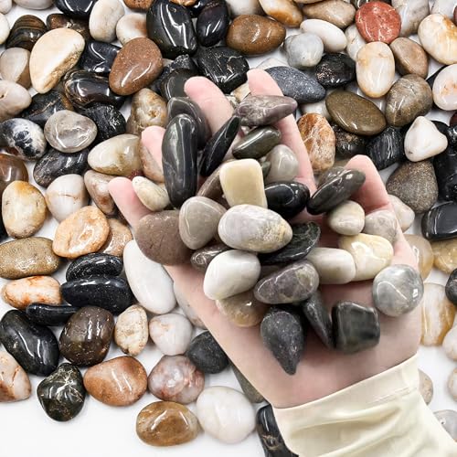 Fahaxiki Natural Polished River Rocks image