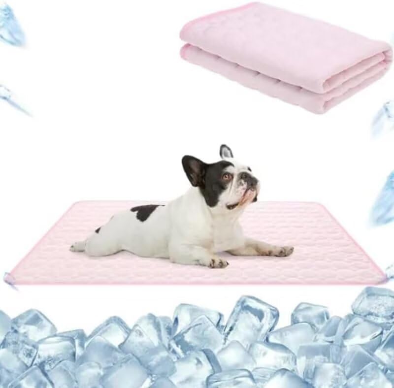 Tapis rafraîchissant pour chien SWZEC Ovannor idéal pour la maison et les voyages en voiture