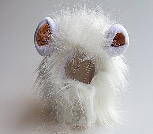 Dealglad - Vestido de mascotas para gato, perro, diseño león con melena, orejas, gorro para otoño invierno Cover
