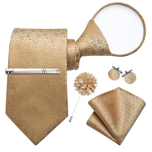 Image of DiBanGu Silk Zipper Ties for Men, Formal Pre-tied Necktie | Adjustable Tie,6PCS,Various Design Styles,Jacquard Woven,Skin-friendly,Practical Gift,Great for Wedding Party,Business Formal