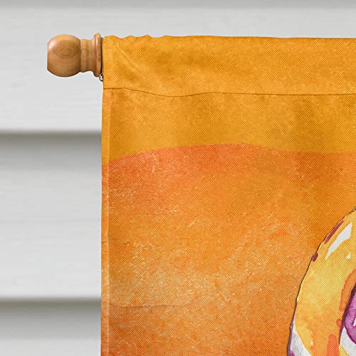 Drapeau Halloween Sucker Lollipop grand format BB7466CHF décoration maison extérieure